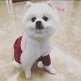 谢灿炼🍉