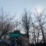 豆友203649736