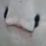 跳跳虎大ㄍ