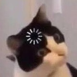 看看