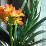 春暖花开