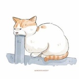 猫卷