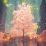 飞渡