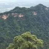 轻舞飞扬