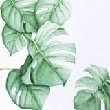 张如森