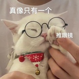 豆友203763348