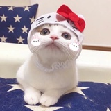 奶味小fu