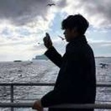 慵懒在阳光午后