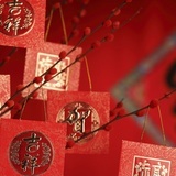 小筝zxz