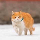 审昱