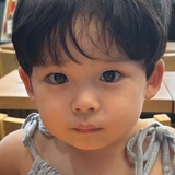 金毛男是极好的