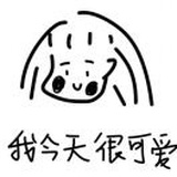 胖球