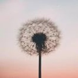 遇见另一个自己