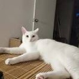 尹y
