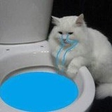 我想去看看