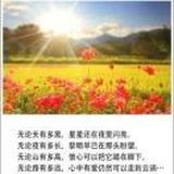 未曾远离