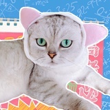 xixi！！