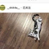 逛公园荡秋千吃