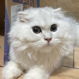 月月