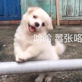 號入