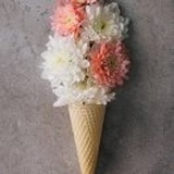 燕子