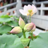 你说～我在