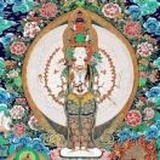 A胡较瘦-艾达美