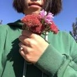 彩