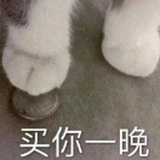 没钱