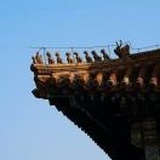 晓晓浟