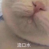 消息契约
