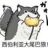 (◕ω◕)
