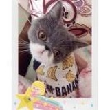 cat lovers