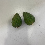 因为我是天才呀