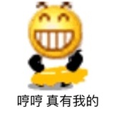 我有两只猫哼