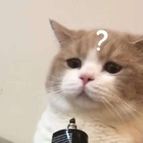 饭卡该充钱了
