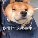 小向斜