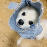 你是什么垃圾