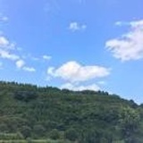 贾云