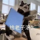 阿卡