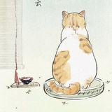 金甲战士张伟