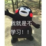 就不爱学习哼