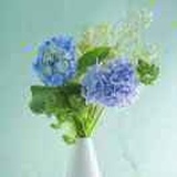 花满楼