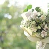The florist's 