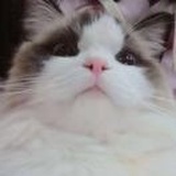 姓濛的