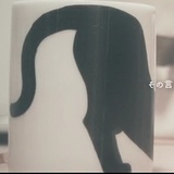转瞬即逝的北屋