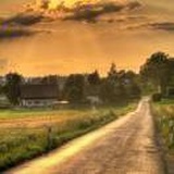 维维豆奶不似奶