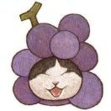 鑫鑫