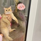 豆友204313305