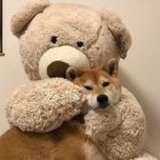 不要在这理发店